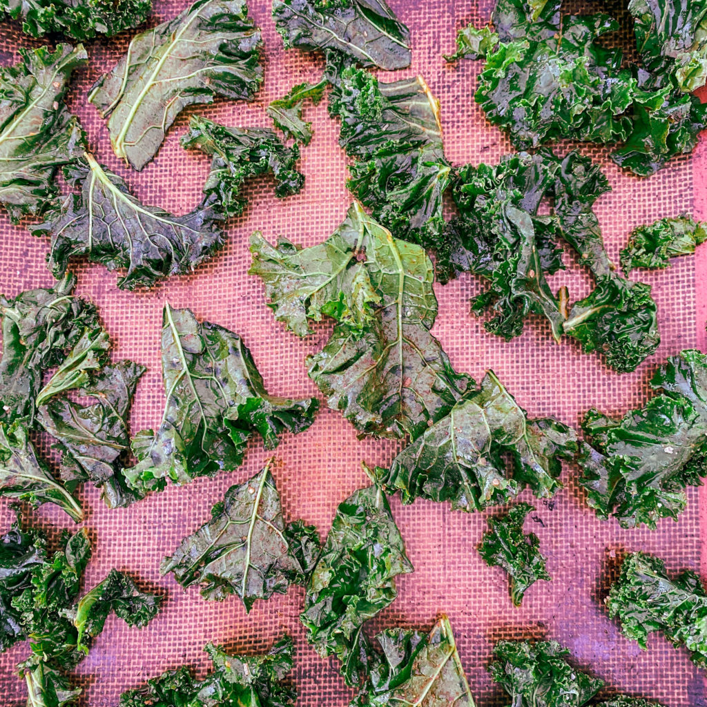 Smokey Kale Chips The Spice Co.